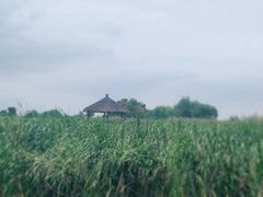 -梁鸿国家湿地公园