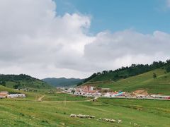 -关山草原