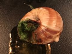 -金蜗牛