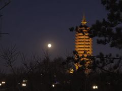 -西海子公园