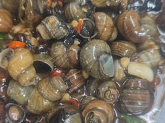 炒田螺-广宁炭炉鸡煲·富临门饭店