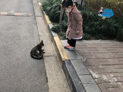 -大华梧桐墅大公馆