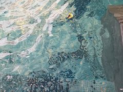 -海纳百川·都市温泉·足道·SPA(学院路店)