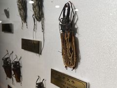 -上海昆虫博物馆
