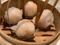 -金鼎轩(亚运村店)