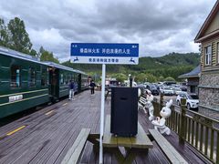 -莫尔道嘎国家森林公园