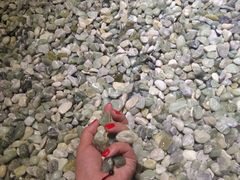 -纽斯洗浴SPA(三墩店)