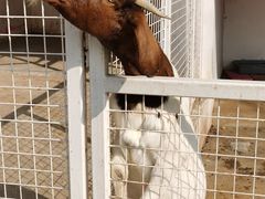 -金庭庄园酒店-停车场