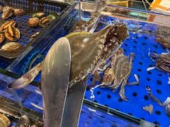 -九月海·海鲜自助(世纪东方店)