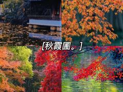 -东平国家森林公园