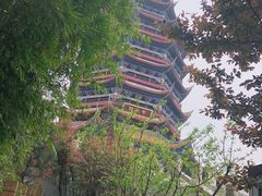 -铁山坪森林公园