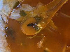 -黑哥(文化北路店)