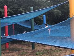 -上海月湖雕塑公园