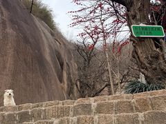 -嵖岈山风景区