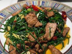 -阿里疆Alijiang·丝路美食·异域风情·清真(长楹天街店)