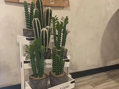 -春风·有糖(崇宁路店)