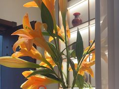 -金汤宴餐厅·粤菜(德云社店)