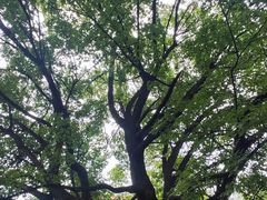 -青州古城
