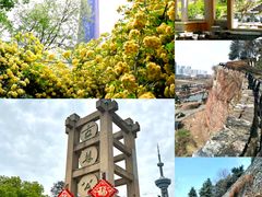 -红山森林动物园