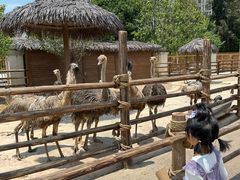 -福州罗源湾海洋世界旅游区