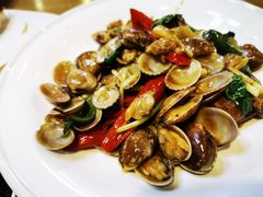 塔炒蛤蜊-台北楚楚园馅饼粥(虹桥南丰城店)