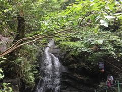 -藏龙百瀑风景区