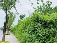 -灞河西岸滨河公园