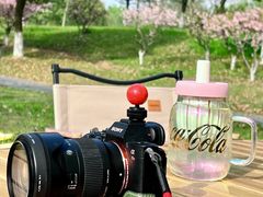 -贡湖湾湿地公园