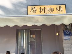 -椿树咖啡