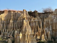 -元谋浪巴铺土林景区