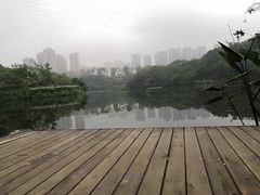-重庆彩云湖湿地公园