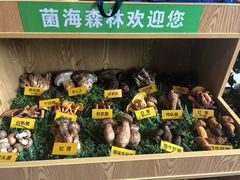 -菌海森林·非遗野生菌火锅(西山区滇池路摩根道店)