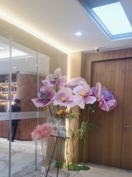 -杭州米兰柏羽医疗美容医院