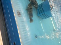 -麦德龙(浦东店)