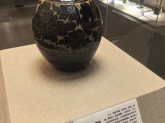 -呼和浩特博物馆
