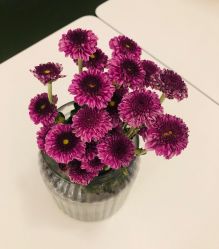 -水沐莲清瑜伽·普拉提