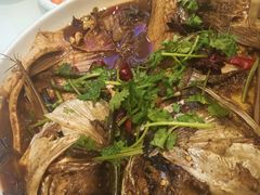 -光辉公鸡馆(事业小区店)