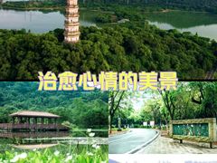 -顺峰山公园