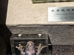 -湖州博物馆