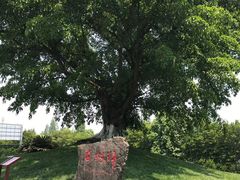 -邓小平故里