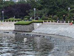 -日照世帆赛基地