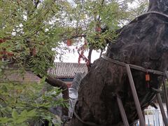 -宋太祖黄袍加身处文管所