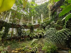 -昆明植物园