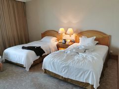 -南京维景国际大酒店(南京博物院店)