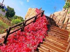 -海合安苏州阳澄半岛乐园