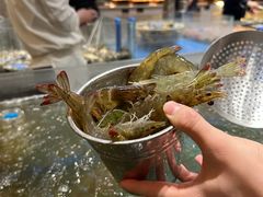 -半岛听涛蒸汽海鲜自助(K11店)