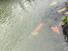 -珠海圆明新园