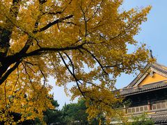 -无锡惠山寺