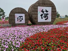 -嘉北郊野公园
