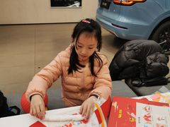 -理想汽车(世纪汇店)